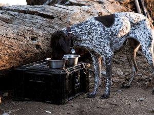 Front Runner Wolf Pack - Image 5