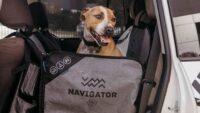 Dog Seat Buddy