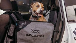 Dog Seat Buddy