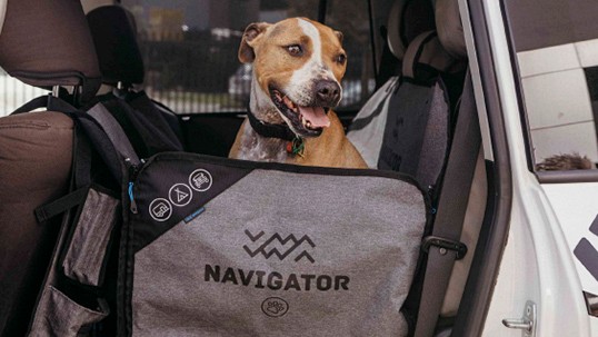 Dog Seat Buddy
