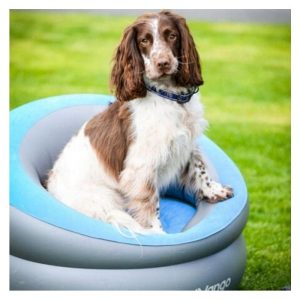 Vango Inflatable Donut Flocked Chair - Image 4